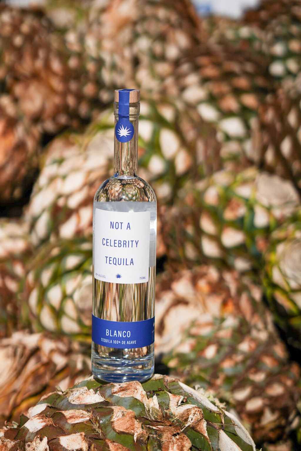 Case of 6 (6 x 750 mL)